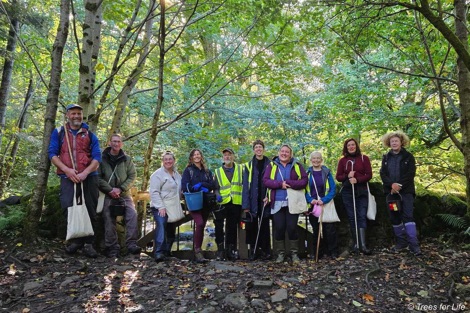 Tree Seed Collection volunteer team
